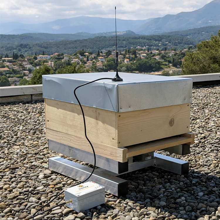 Passerelle Gsm 4G balance pour ruche